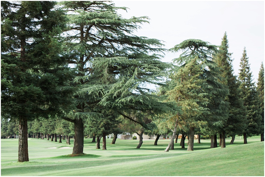 Golf Course Wedding Pine Trees Greens Jody Atkinson Photography