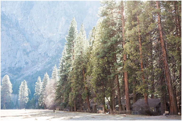 rustic cabins in Yosemite